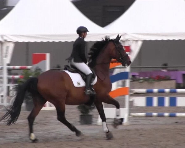 Datteln 2013