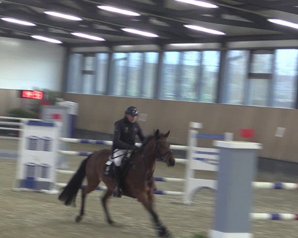 Reitturnier Zwickau 2024