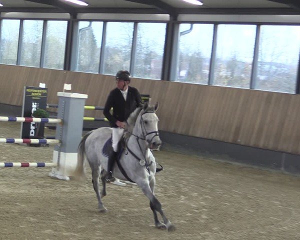 Reitturnier Zwickau 2024