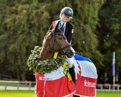 dressage horse My Cosmostar (German Riding Pony, 2014, from Cosmopolitan NRW)