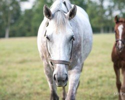 broodmare Tap For Me xx (Thoroughbred, 2018, from Tapit xx)