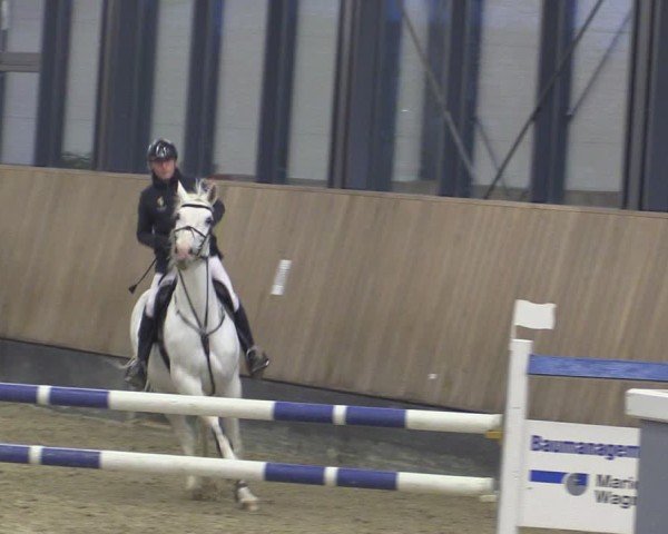 Reitturnier Zwickau 2024