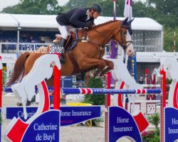 jumper Captain Z (KWPN (Royal Dutch Sporthorse), 2007, from Lord Z)