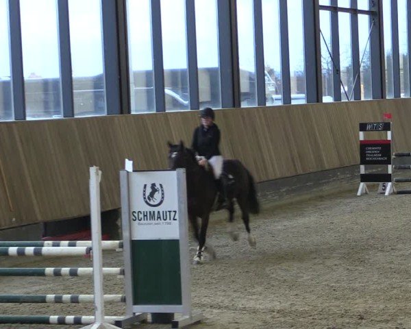 Reitturnier Zwickau 2024