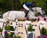 jumper Stakato Cornet (Oldenburg show jumper, 2015, from Cornet Obolensky)