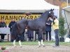 dressage horse Fontainebleau l'ami (Hanoverian, 2022, from For Romance I)