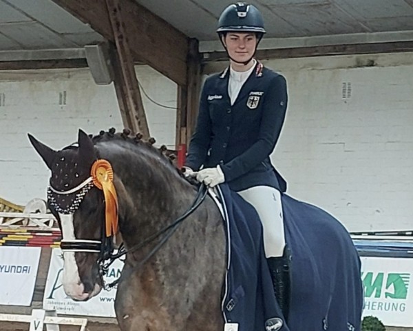 dressage horse Bentley Sk (Hanoverian, 2018, from Callaho's Benicio)