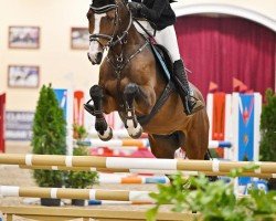 broodmare La Gilderada S (Oldenburg show jumper, 2016, from Lordanos)