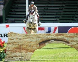 jumper Ambosell I (KWPN (Royal Dutch Sporthorse), 2005, from Silverstone)