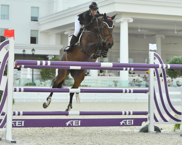 jumper Elana 22 (KWPN (Royal Dutch Sporthorse), 2009, from VDL Harley)