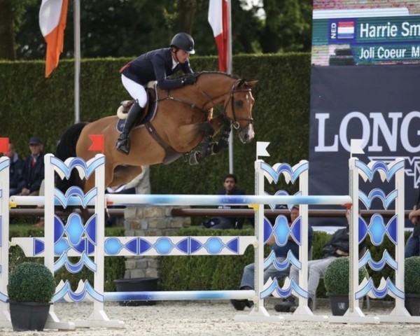 Springpferd Joli Coeur M Y (Belgisches Warmblut, 2009, von Converter I)