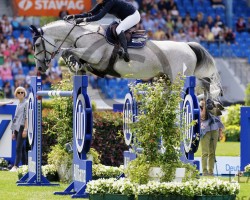 Springpferd Opaline de W&S (Belgisches Warmblut, 2014, von Etoulon VDL)