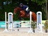 jumper Mionetto 4 (Holsteiner, 2017, from Million Dollar)