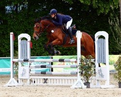 jumper Mionetto 4 (Holsteiner, 2017, from Million Dollar)