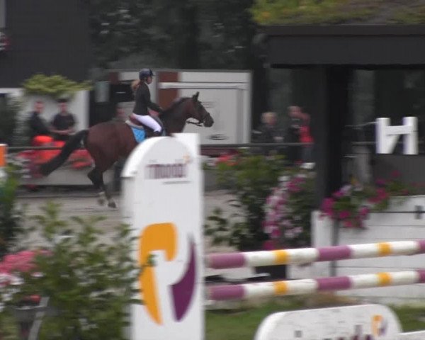 Datteln 2013