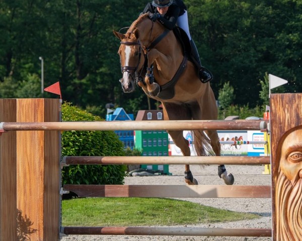 jumper Jirenze (KWPN (Royal Dutch Sporthorse), 2014, from Baltic VDL)