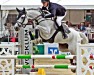 jumper Checkers 10 (Oldenburg show jumper, 2005, from Coronado I)