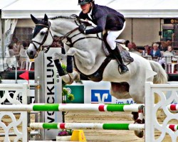 jumper Checkers 10 (Oldenburg show jumper, 2005, from Coronado I)