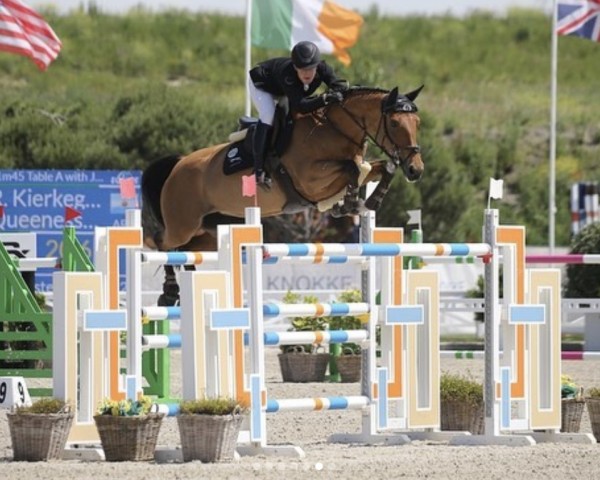 jumper Queenessa Verdi (Hanoverian, 2010, from Verdi)