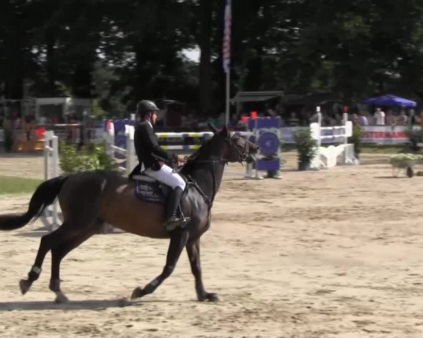 Datteln 2013