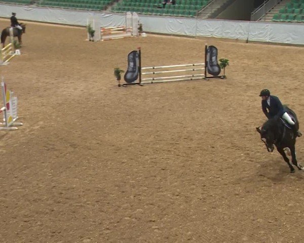 Reitturnier Kreuth/Opf. 2024