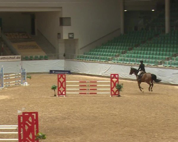 Reitturnier Kreuth/Opf. 2024