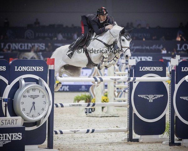 jumper Corradiena van't Klein Asdonkz (Zangersheide riding horse, 2014, from Cornet Obolensky)