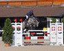 jumper Crooby CH (Swiss Warmblood, 2016, from Cornet Obolensky)