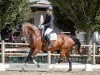 dressage horse Princesa del Poder (Oldenburg, 2010, from Sergio Rossi)