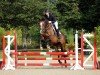 jumper Sinetti S (German Sport Horse, 2011, from Simonetti)