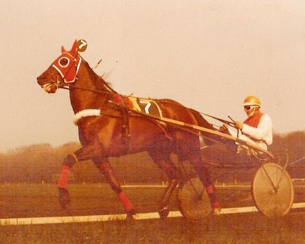 stallion Manza Buitenzorg (NL) (Traber, 1971, from Star Performer (US))