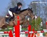 jumper United des Islots (French Pony, 2008, from Helios de la Cour II)