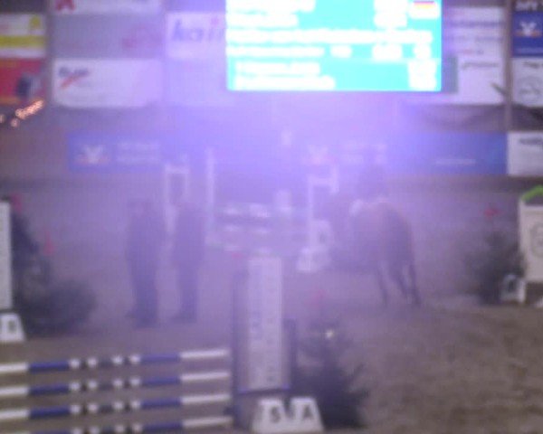 Reitturnier Leck 2024