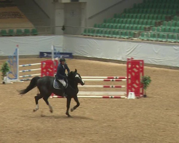 Reitturnier Kreuth/Opf. 2024