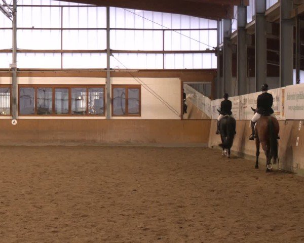 Reitturnier Appelhülsen 2024
