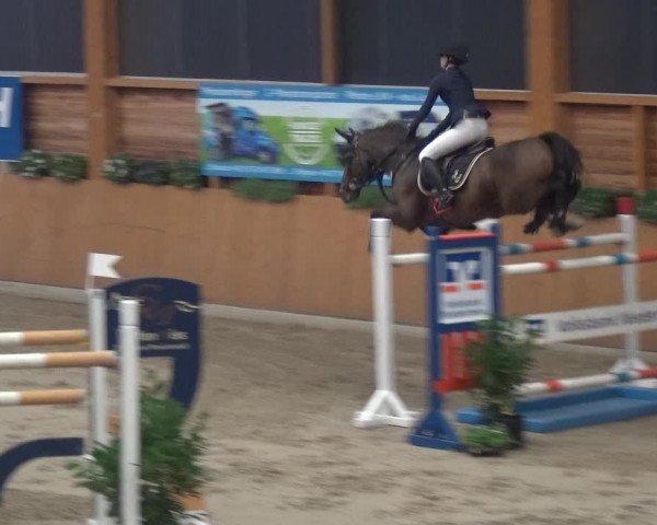 Springturnier Xanten - Reitanlage Miss 2021