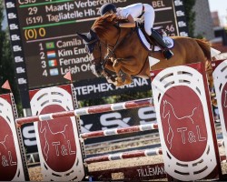 jumper Tagliatelle Hh Z (Zangersheide riding horse, 2014, from Tornesch)