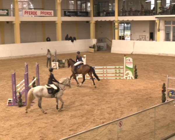 Reitturnier Stadl-Paura 2024