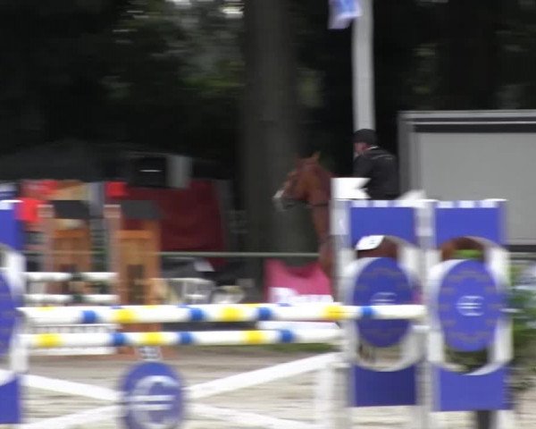 Datteln 2013