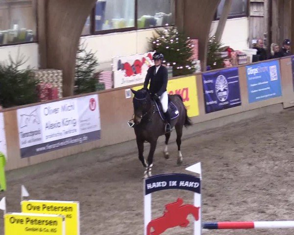 Reitturnier Leck 2024