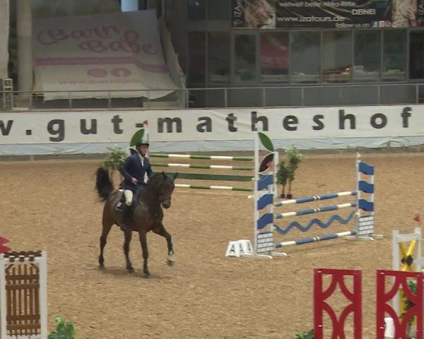 Reitturnier Kreuth/Opf. 2024
