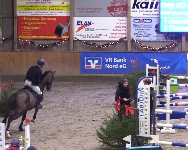 Reitturnier Leck 2024