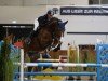 jumper Chacoona Blue (Oldenburg show jumper, 2017, from Chacoon Blue)