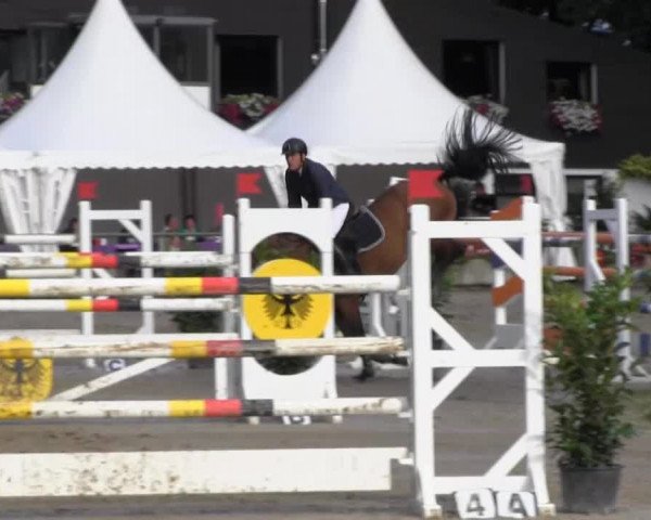 Datteln 2013