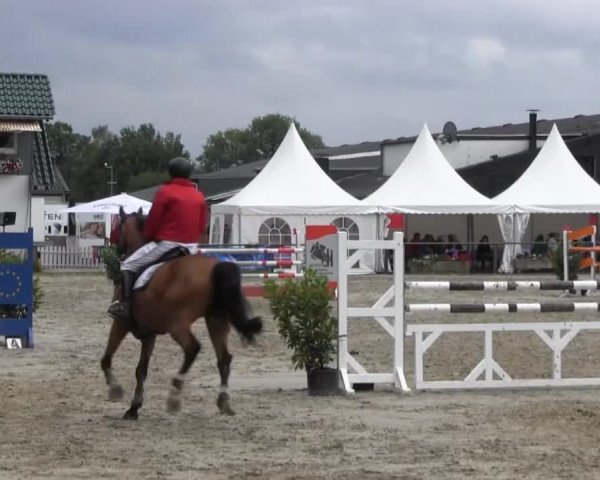 Datteln 2013