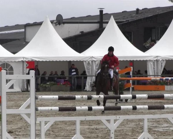 Datteln 2013