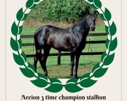 stallion Go Go Gadget xx (Thoroughbred, 2007, from Areion xx)