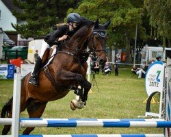 jumper Lorbas 284 (German Sport Horse, 2011, from Levistano)