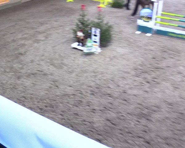 Reitturnier Leck 2024