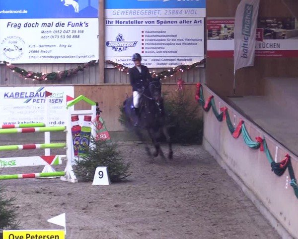 Reitturnier Leck 2024